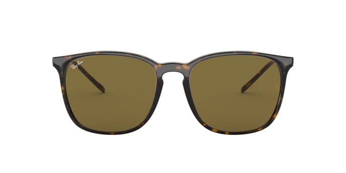 10006-ray-ban-0rb4387f-4.webp Ray-Ban 0RB4387F