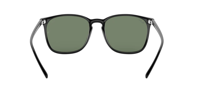 10006-ray-ban-0rb4387f-5.webp Ray-Ban 0RB4387F