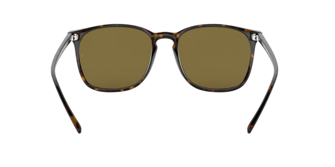 10006-ray-ban-0rb4387f-6.webp Ray-Ban 0RB4387F