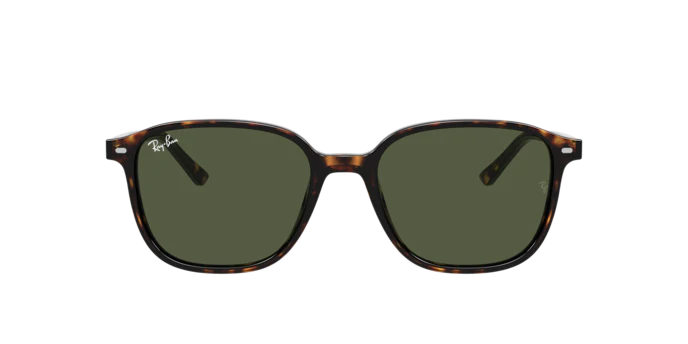 10270-ray-ban-0rb2193-leonard-11.webp Ray-Ban 0RB2193 LEONARD