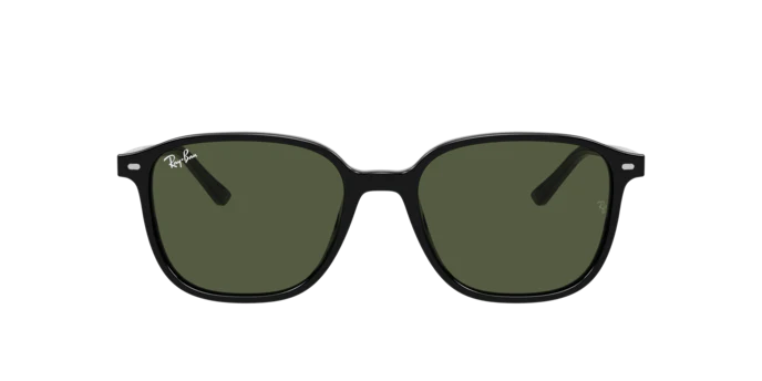 10270-ray-ban-0rb2193-leonard-9.webp Ray-Ban 0RB2193 LEONARD