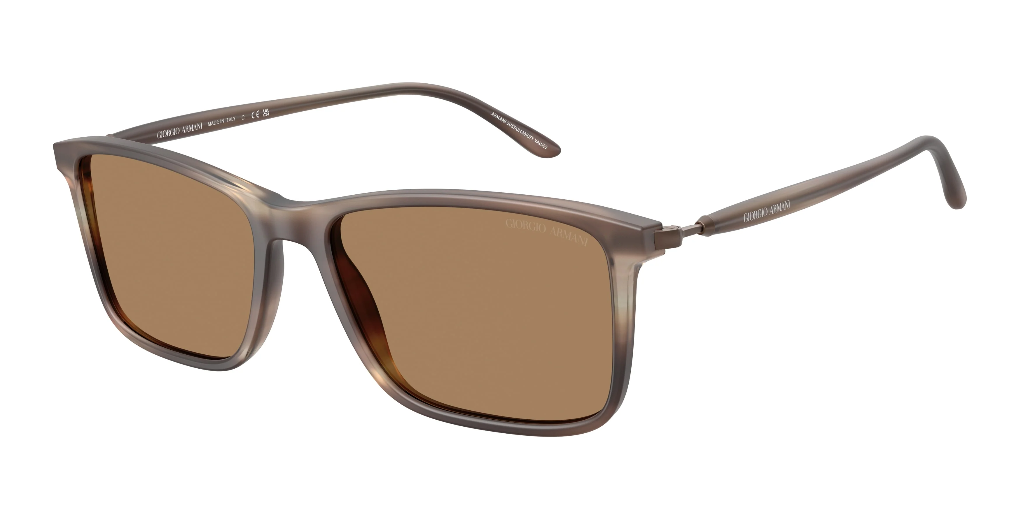 Giorgio Armani 0AR8218F