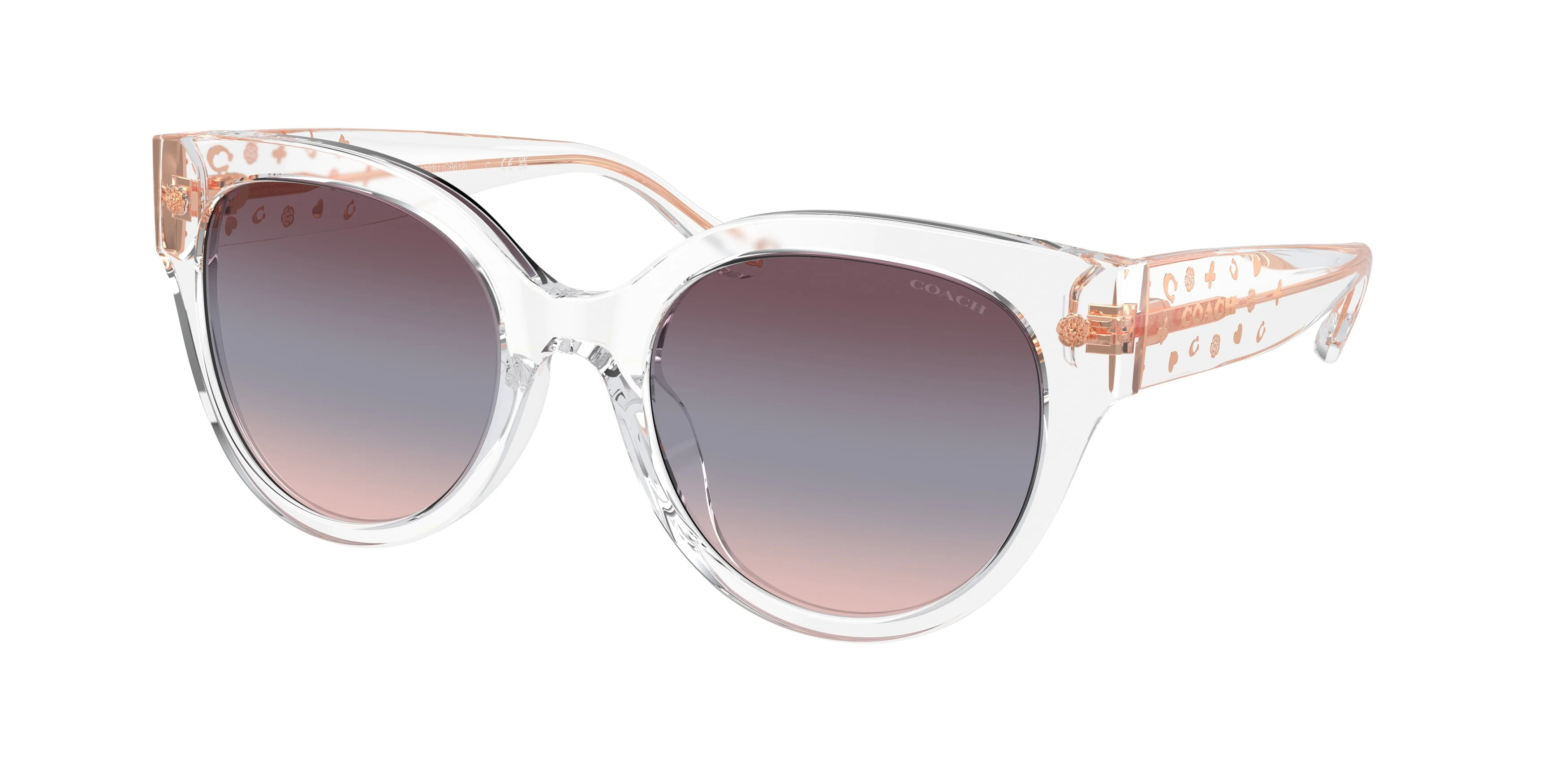 Coach 0HC8393U CR612