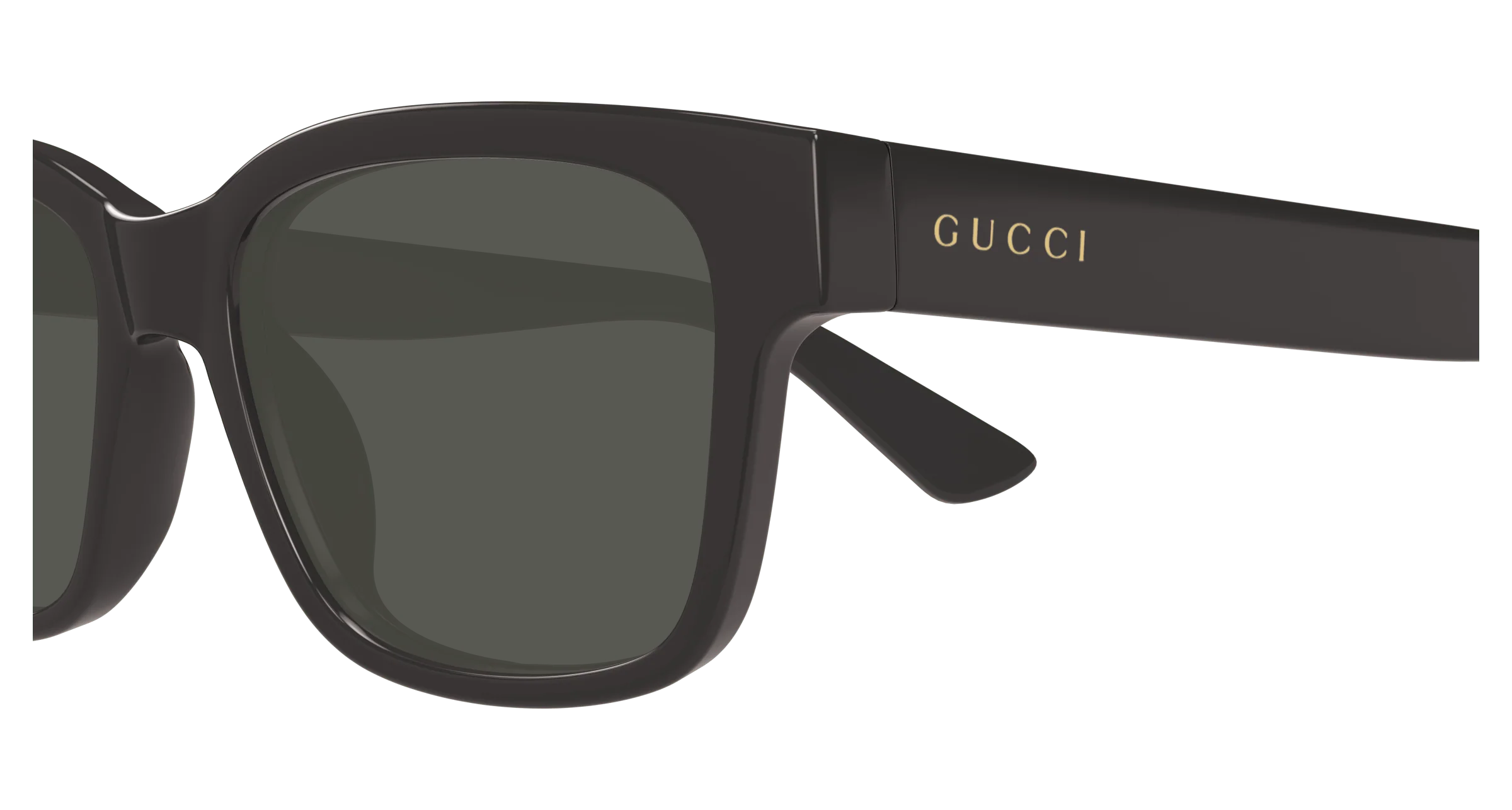 1126-gucci-gg1716s-9.webp Gucci GG1716S
