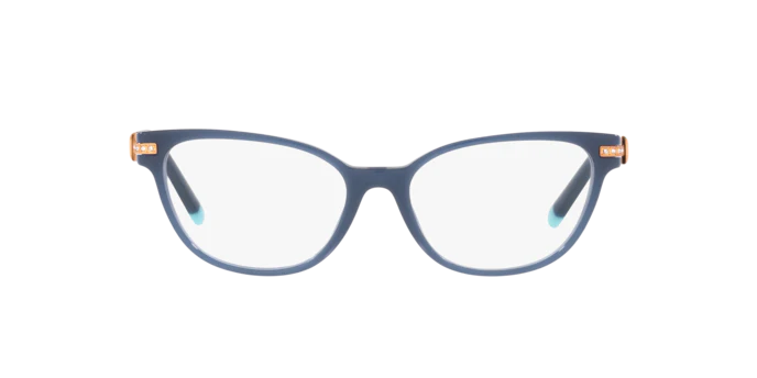 Tiffany & Co. 0TF2223B