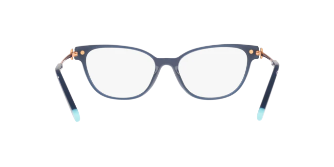 Tiffany & Co. 0TF2223B