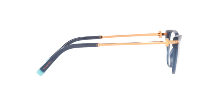 Tiffany & Co. 0TF2223B