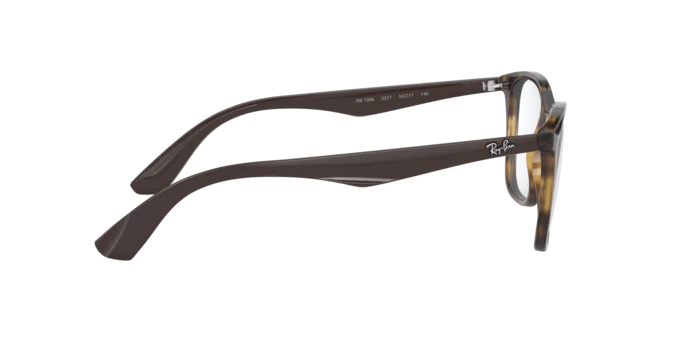Ray-Ban 0RX7066