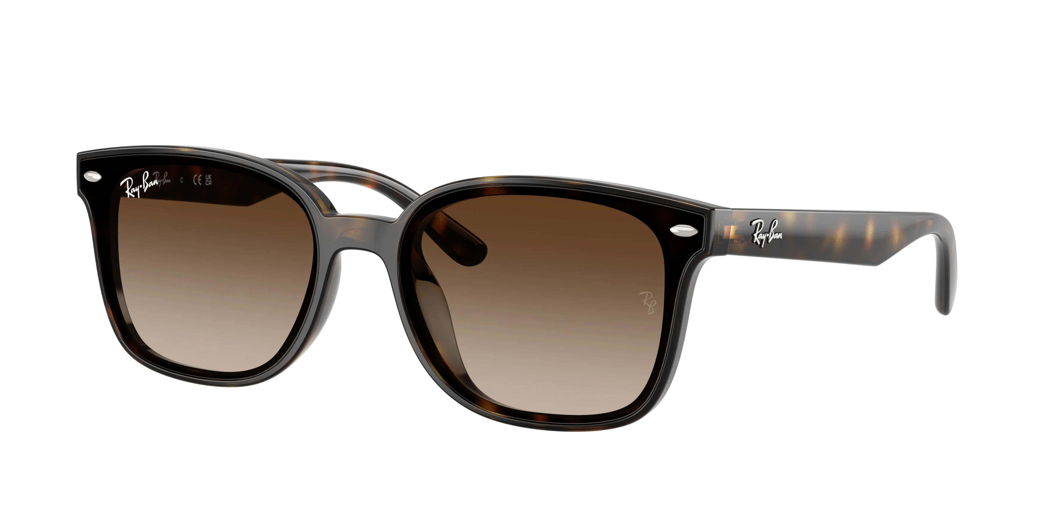 13691-ray-ban-0rb4461d-2.webp Ray-Ban 0RB4461D