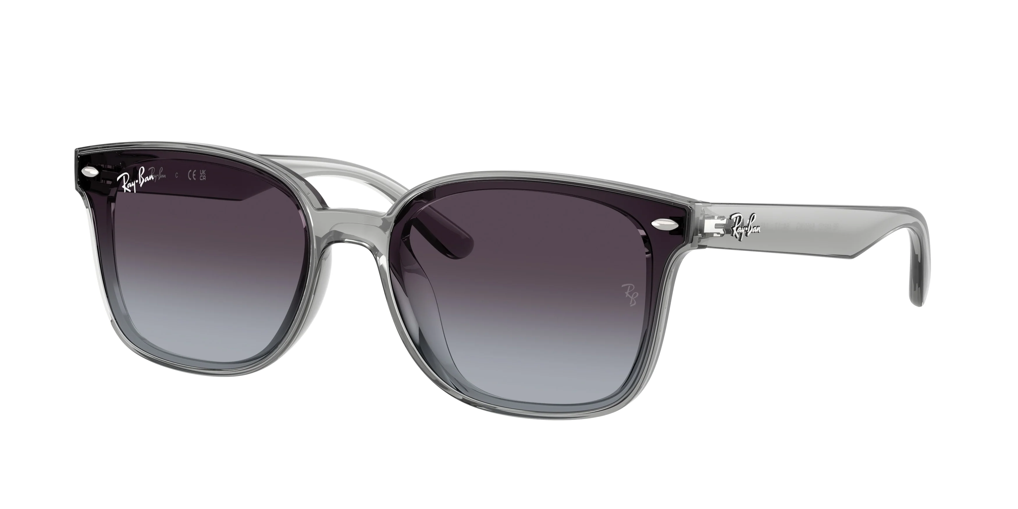 13691-ray-ban-0rb4461d-5.webp Ray-Ban 0RB4461D