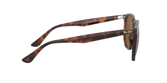 Ray-Ban 0RB4306F