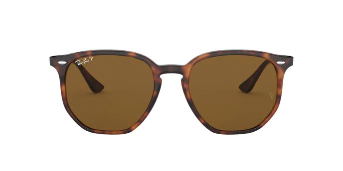 Ray-Ban 0RB4306F