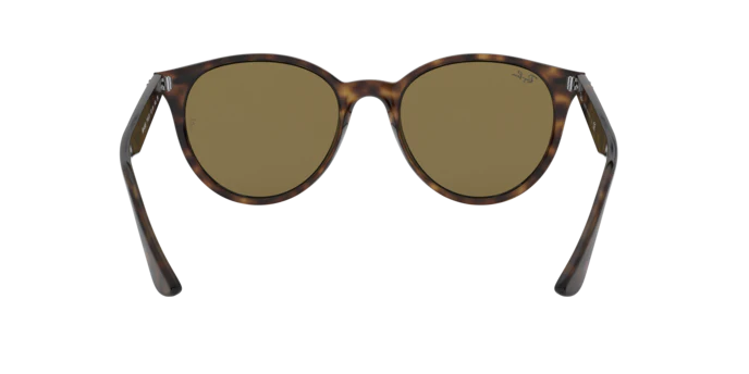 Ray-Ban 0RB4305