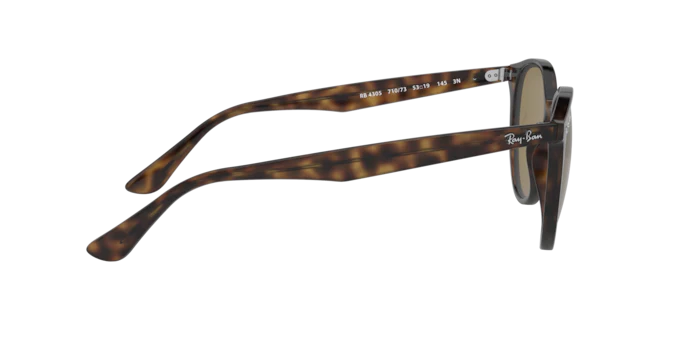 Ray-Ban 0RB4305
