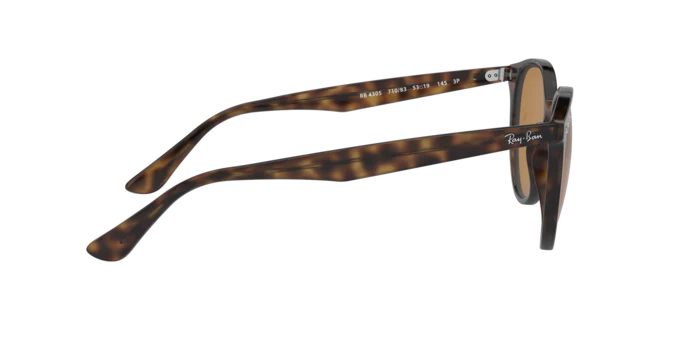 Ray-Ban 0RB4305
