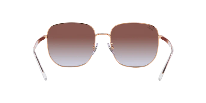 Ray-Ban 0RB3713D
