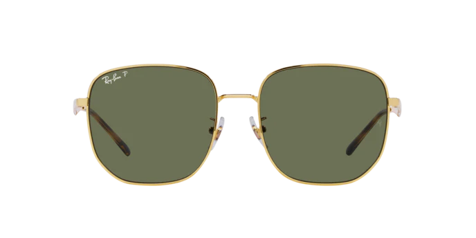Ray-Ban 0RB3713D