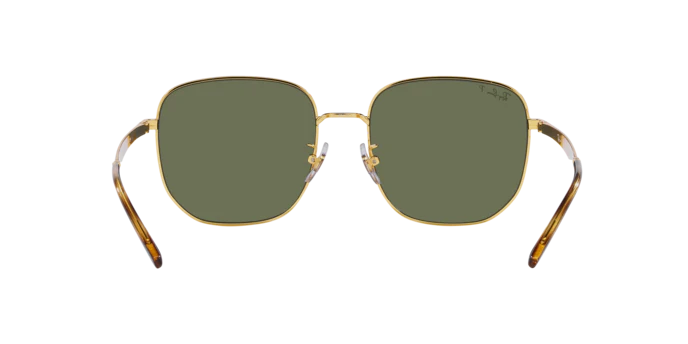 Ray-Ban 0RB3713D