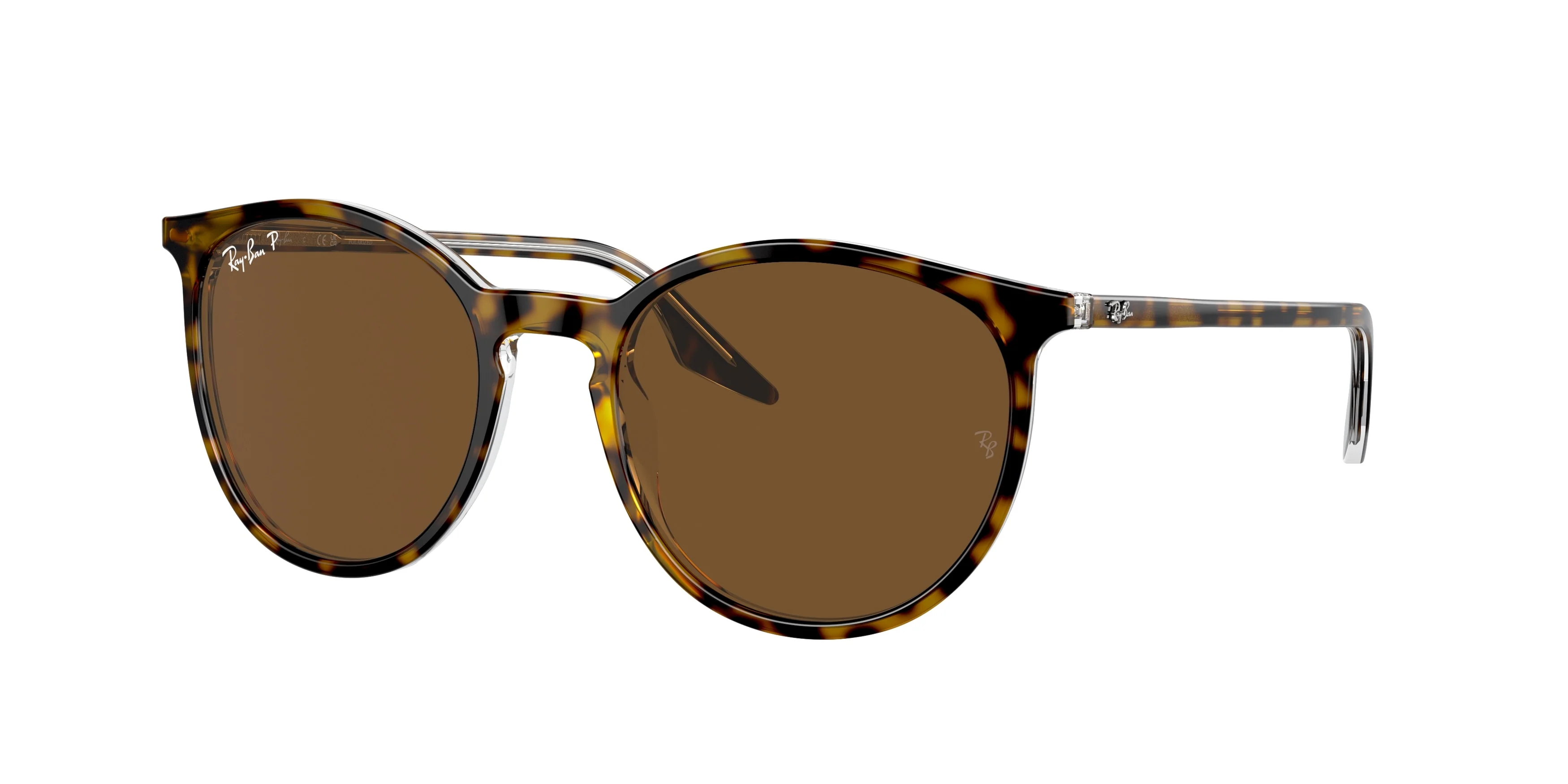 Ray-Ban 0RB2204