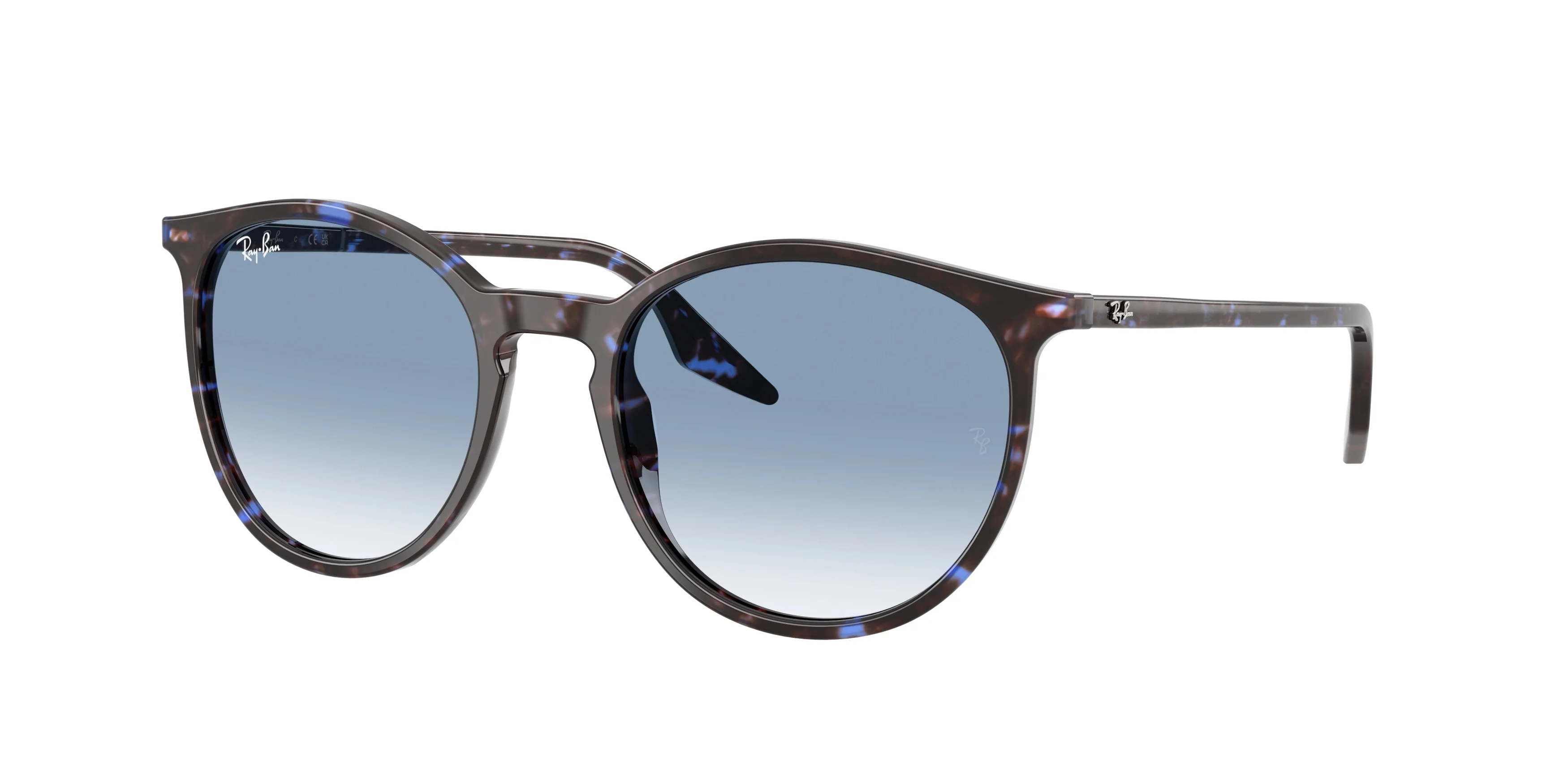 Ray-Ban 0RB2204