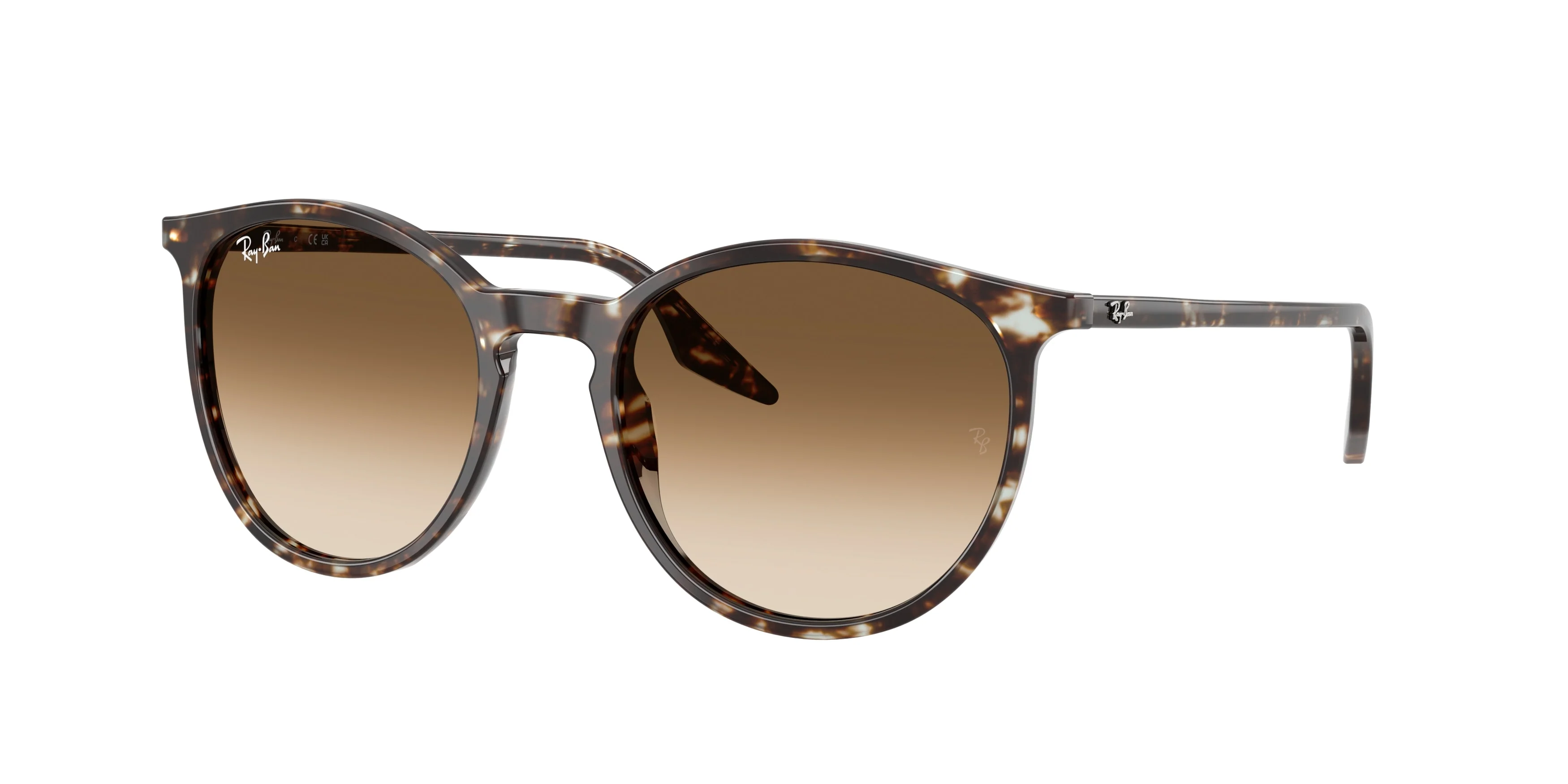 Ray-Ban 0RB2204
