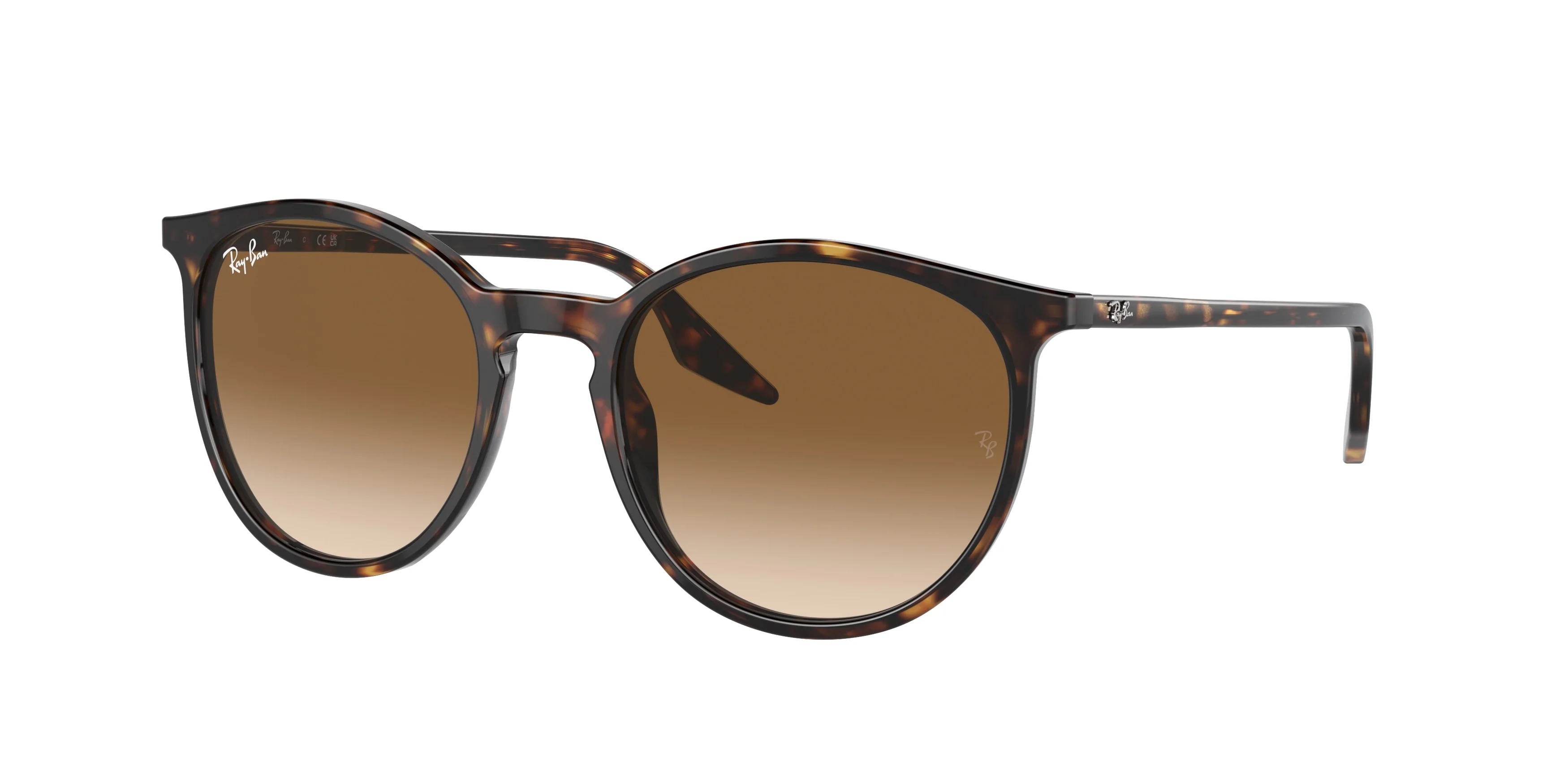 Ray-Ban 0RB2204