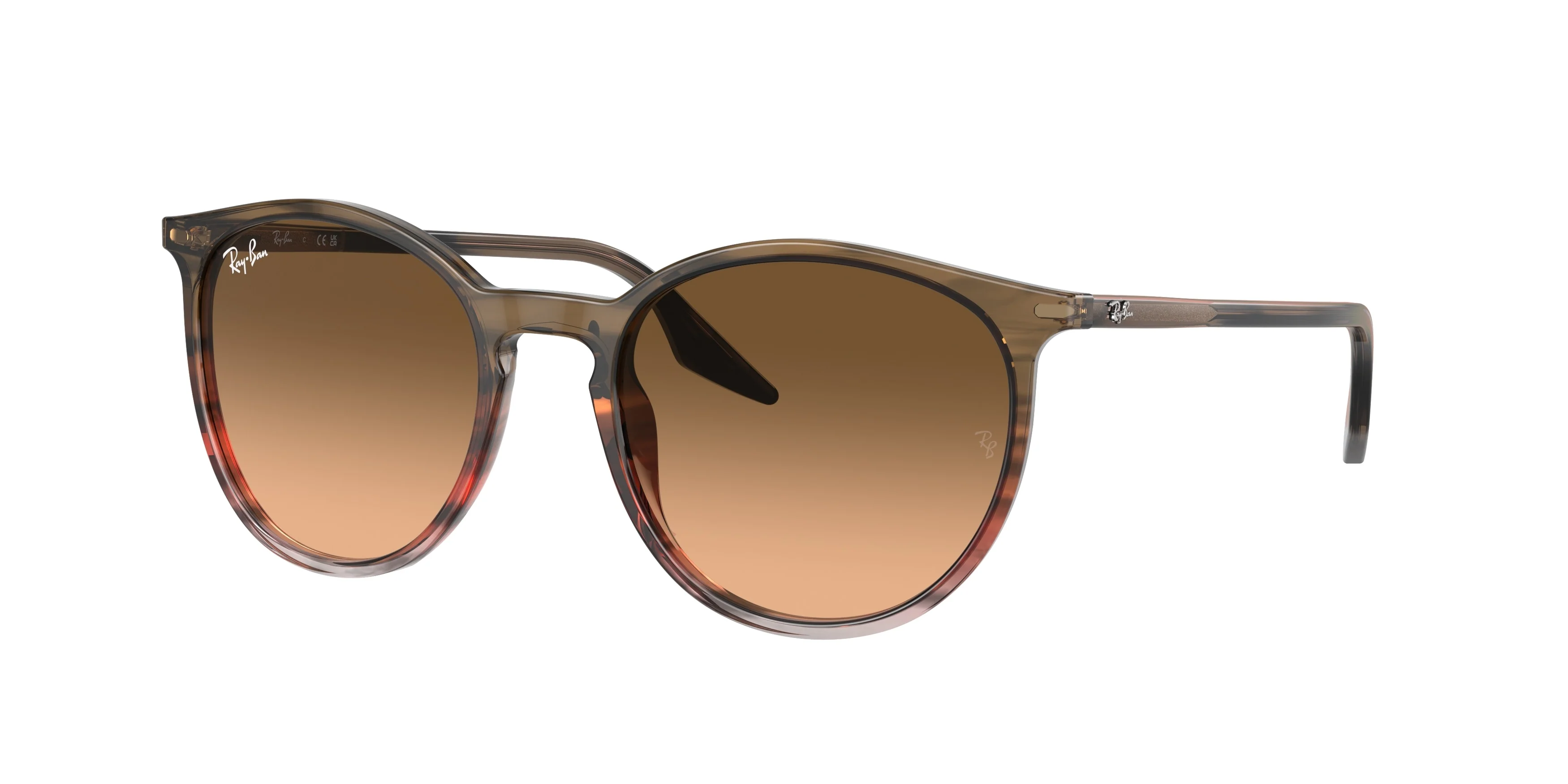 Ray-Ban 0RB2204