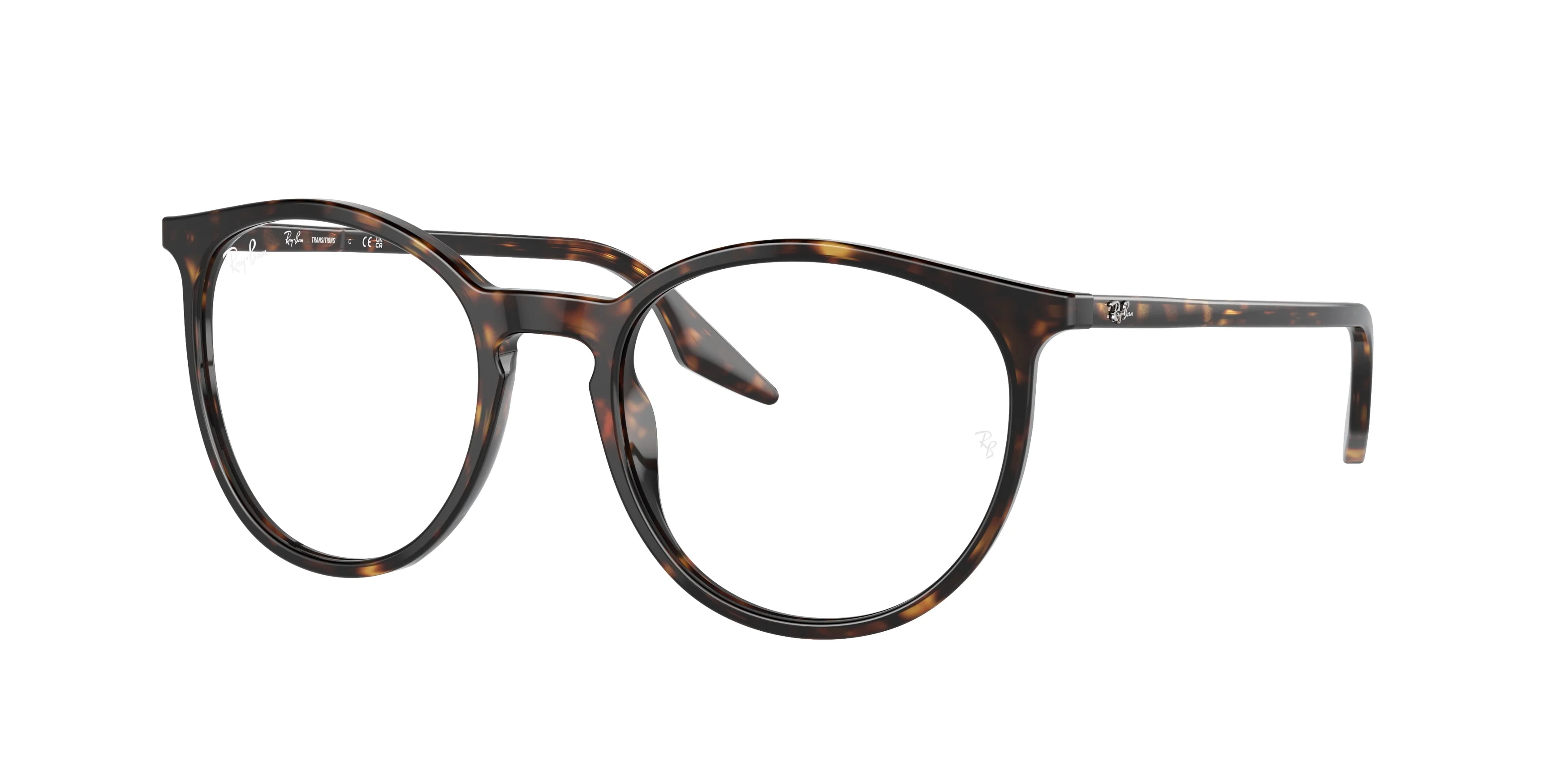 Ray-Ban 0RB2204