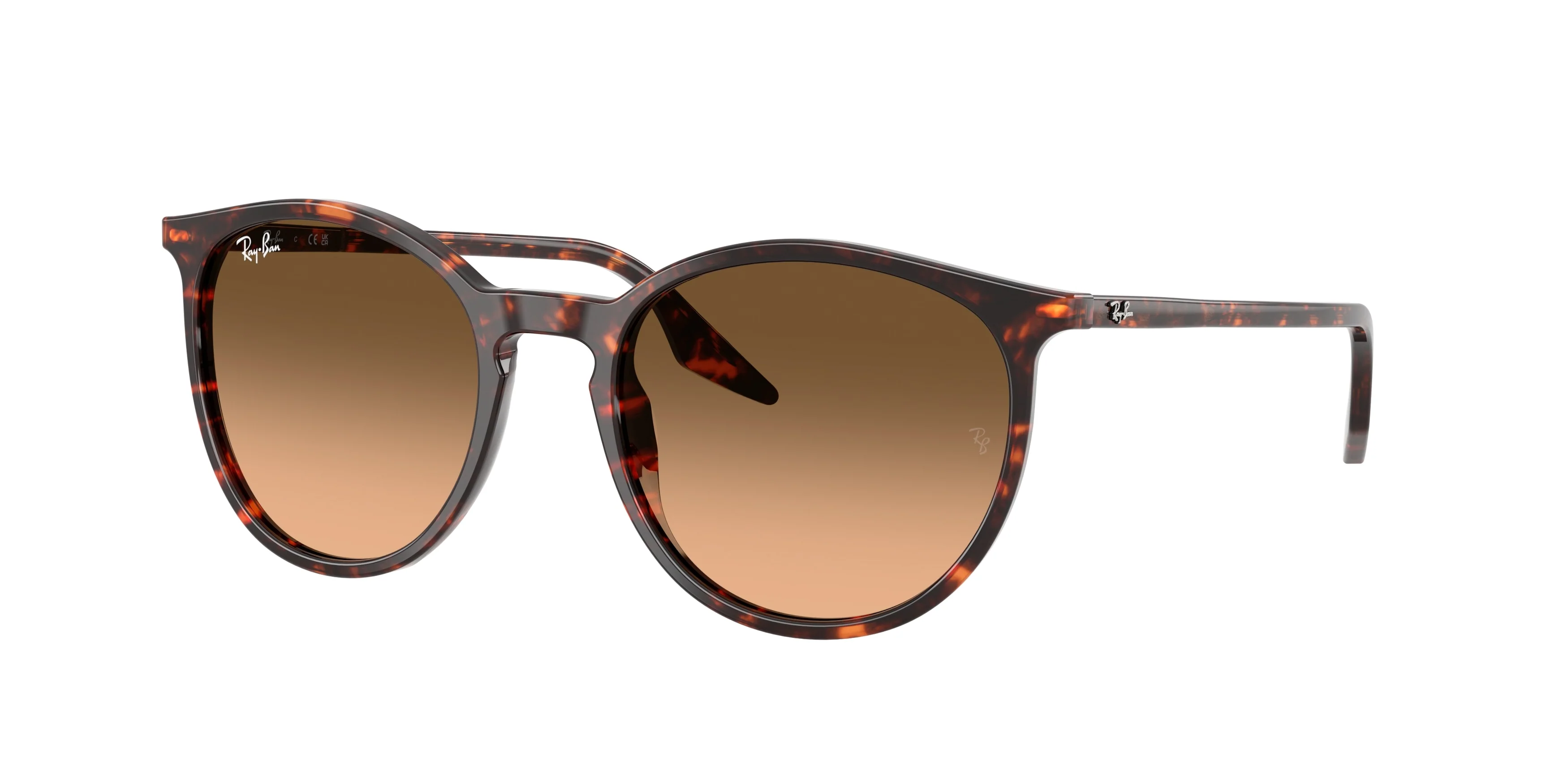 Ray-Ban 0RB2204