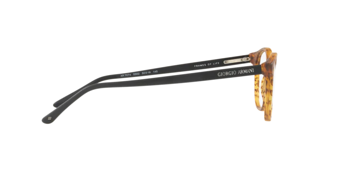 Giorgio Armani 0AR7074