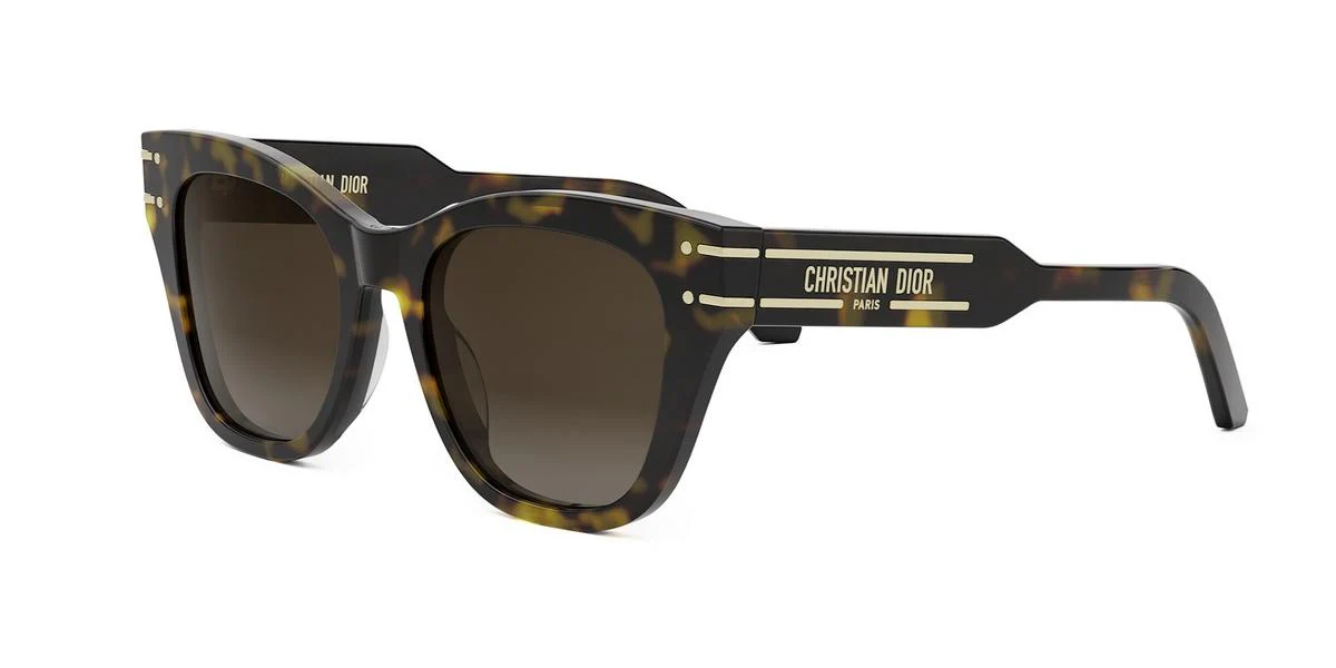Dior DIORSIGNATURE B4I CD40158I