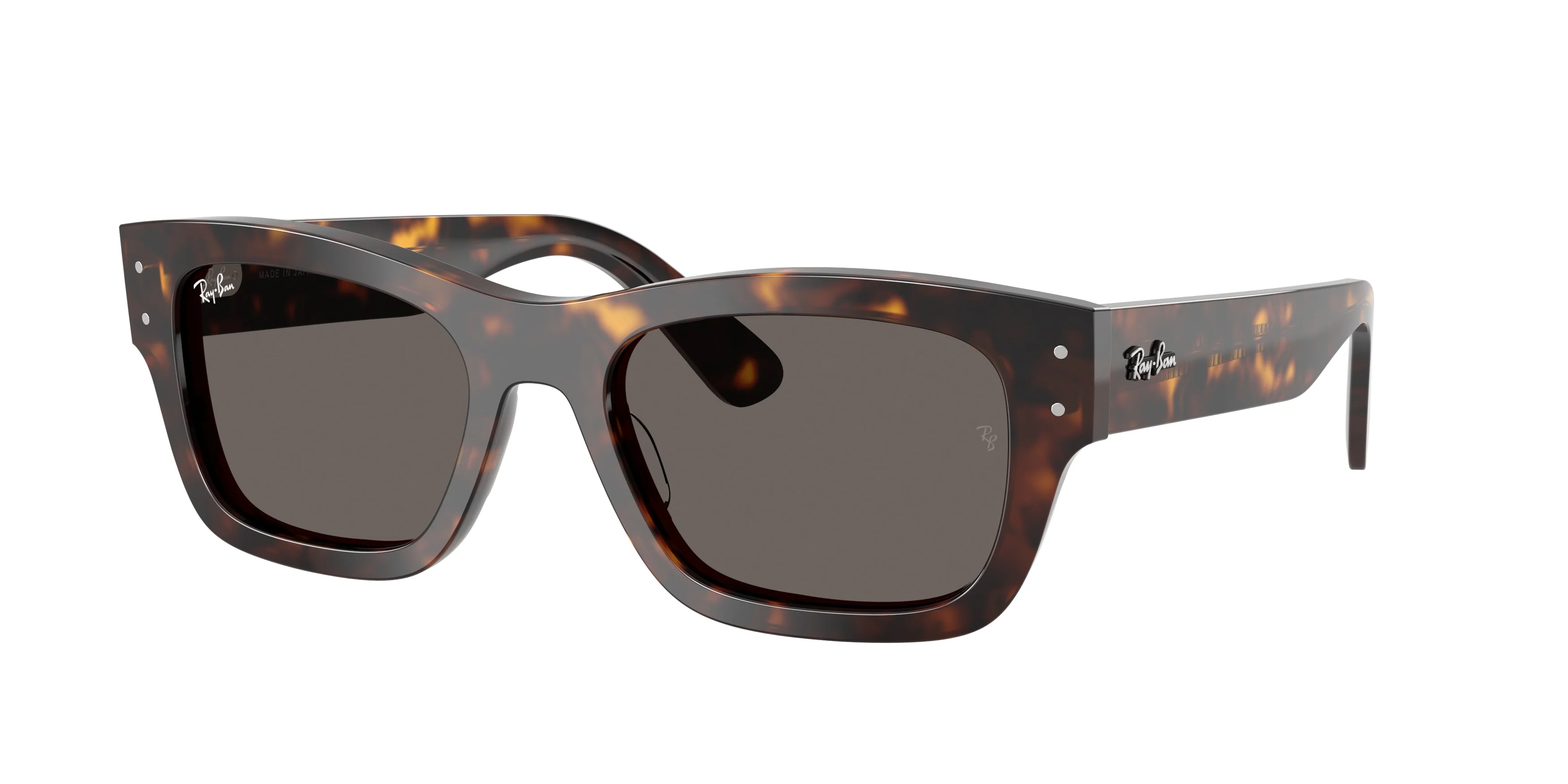 18866-ray-ban-0rb7683s-joseph-5.webp Ray-Ban 0RB7683S JOSEPH