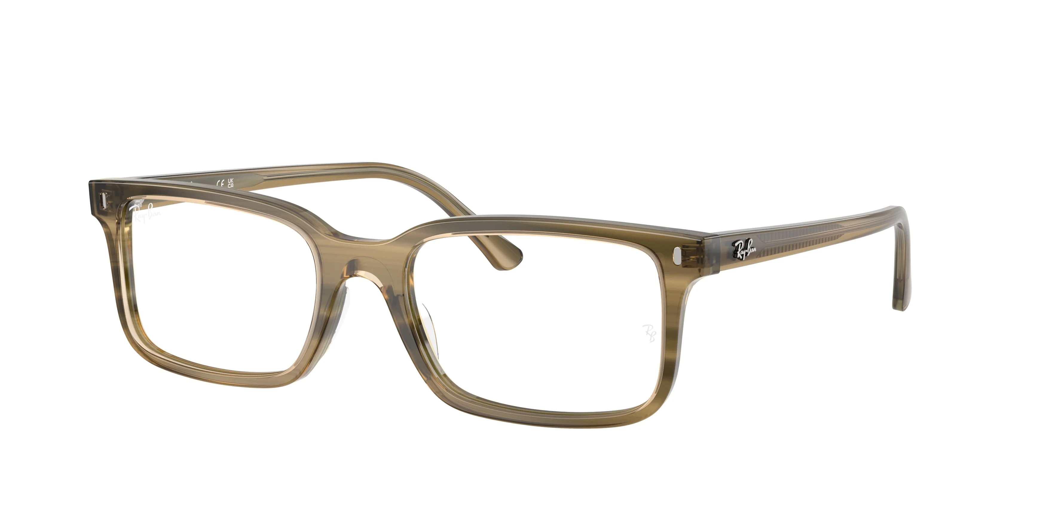 Ray-Ban 0RX5445F