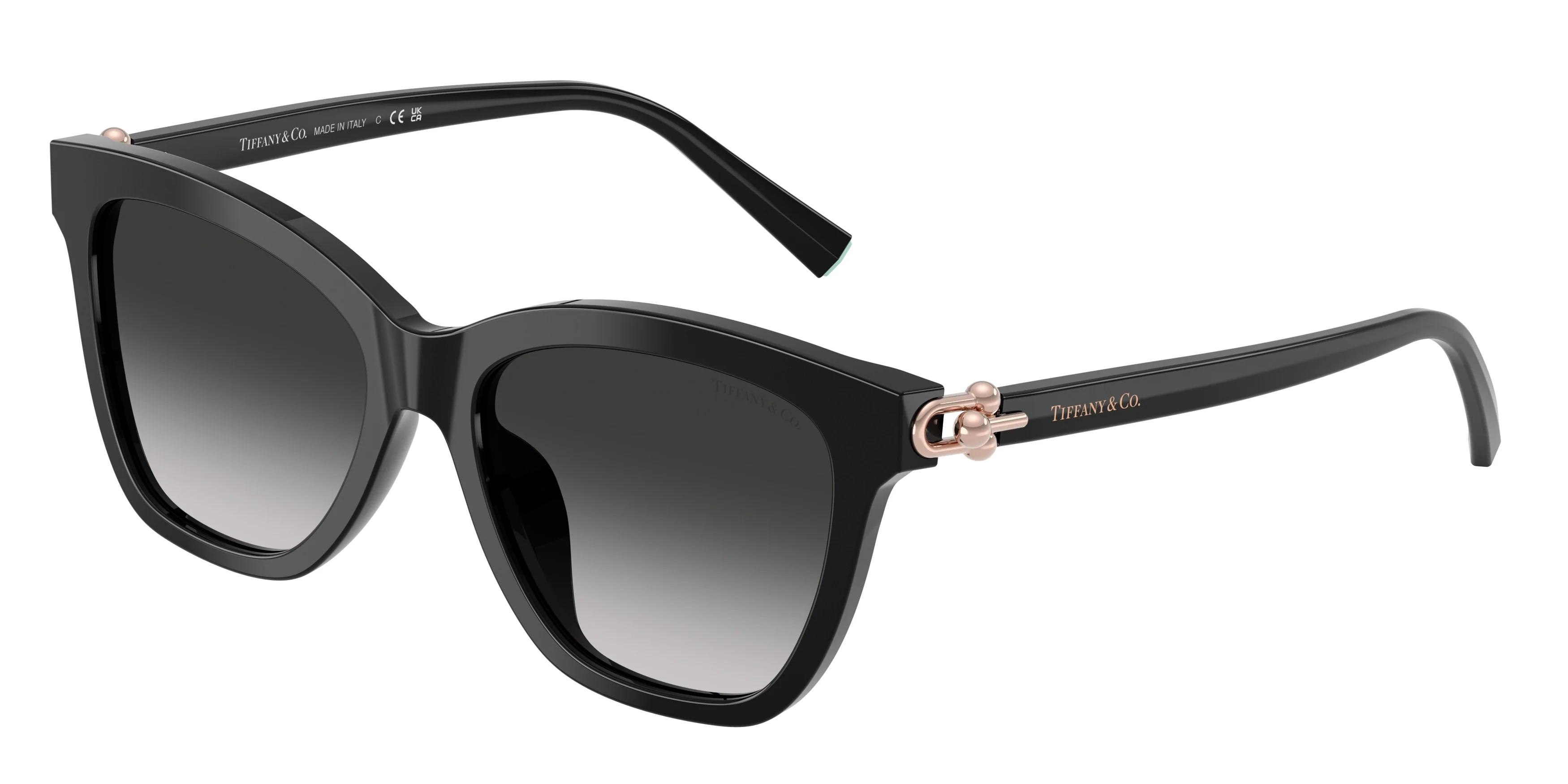 Tiffany & Co. 0TF4241D