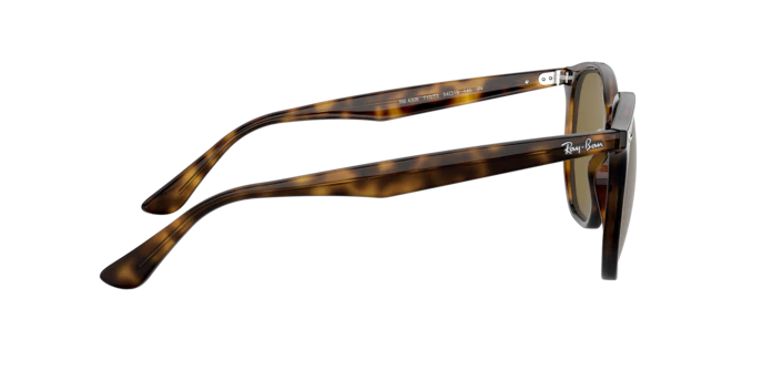 3326-ray-ban-0rb4306-26.webp Ray-Ban 0RB4306