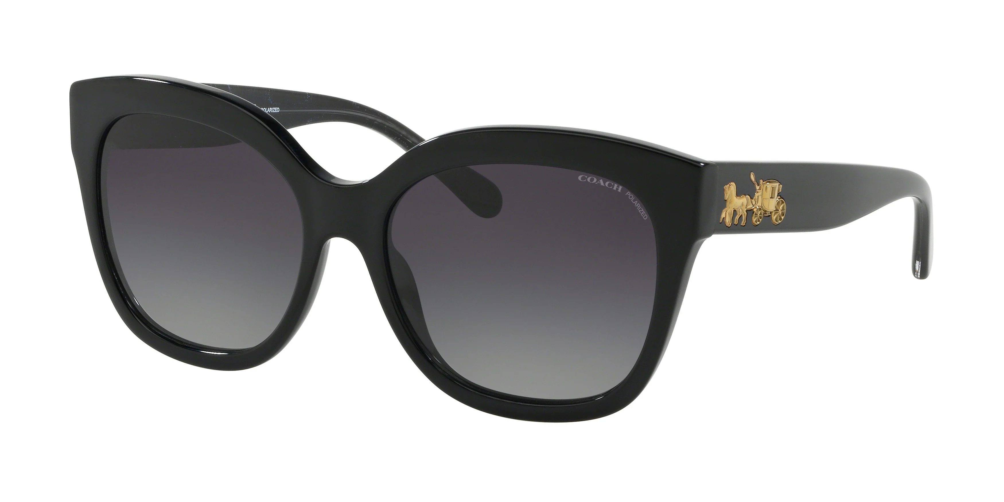 Coach 0HC8264 L1083