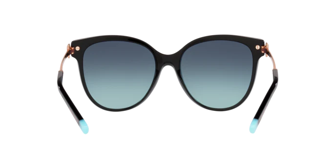 Tiffany & Co. 0TF4193B