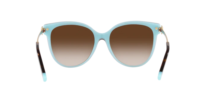 Tiffany & Co. 0TF4193B