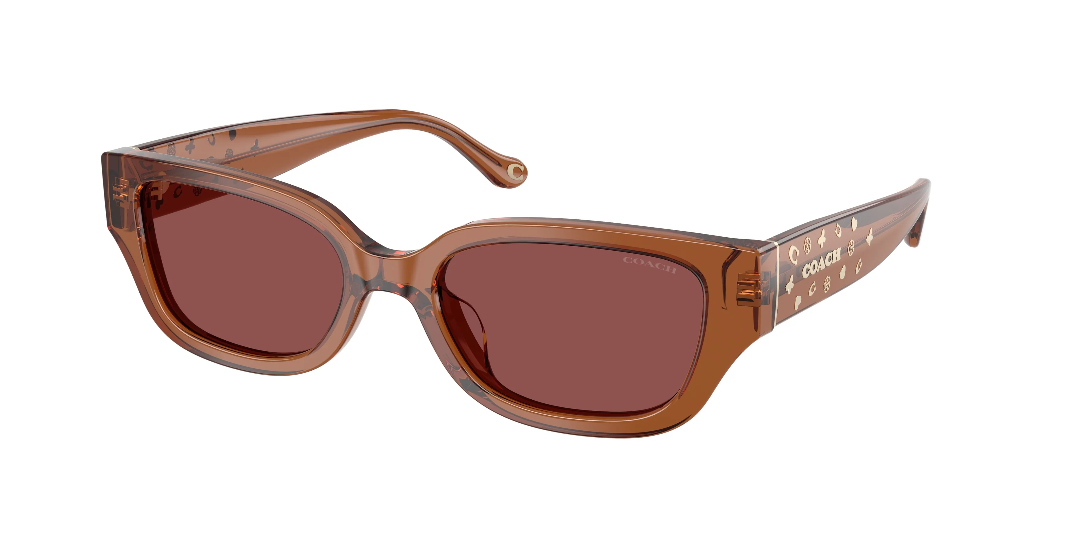 Coach 0HC8439U CBZ52
