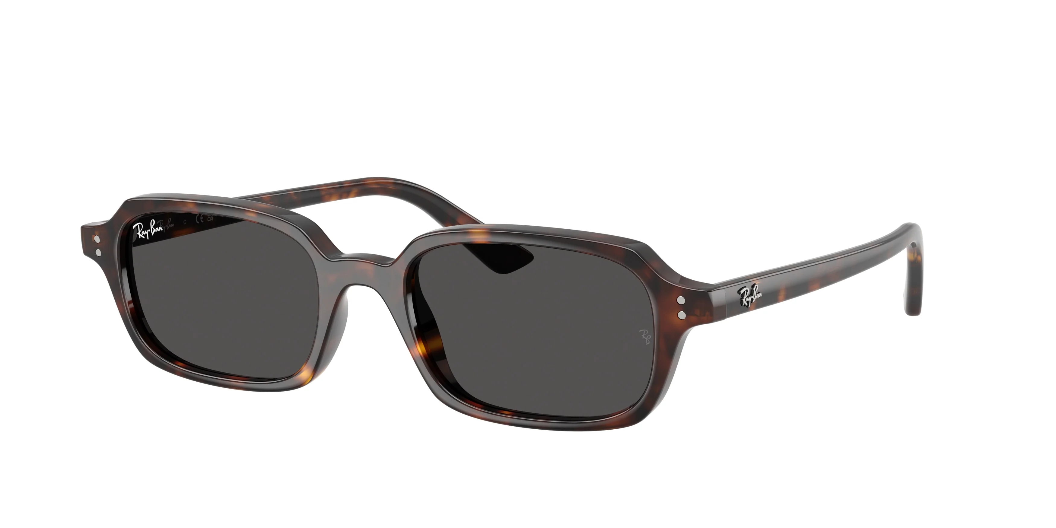 6731-ray-ban-0rb4455-zuri-5.webp Ray-Ban 0RB4455 ZURI