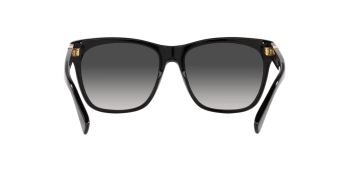 6790-ralph-lauren-0rl8212-the-ricky-ii-10.webp Ralph Lauren 0RL8212 THE RICKY II