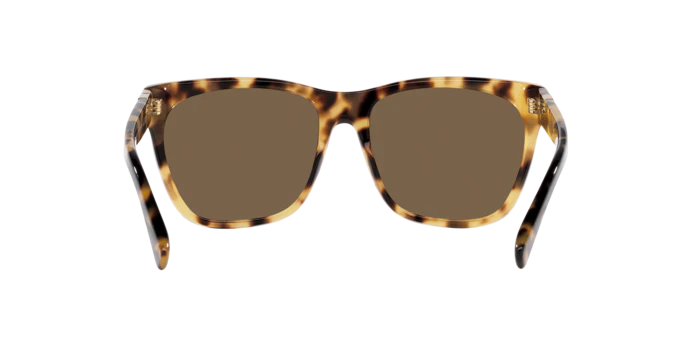 6790-ralph-lauren-0rl8212-the-ricky-ii-9.webp Ralph Lauren 0RL8212 THE RICKY II