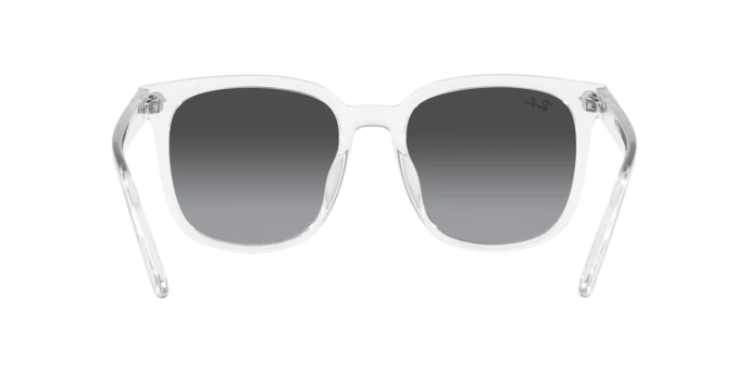 7930-ray-ban-0rb4401d-15.webp Ray-Ban 0RB4401D