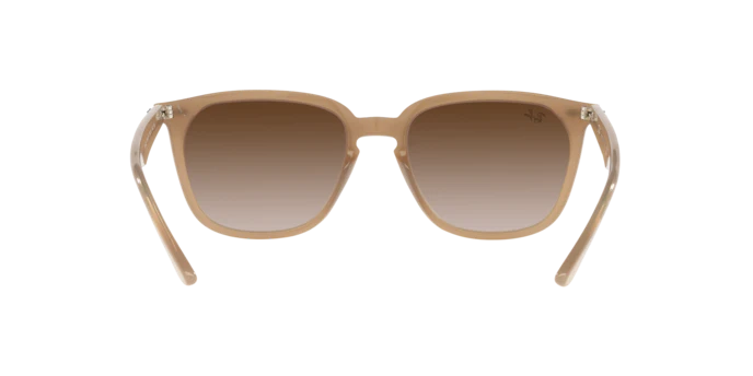 Ray-Ban 0RB4362