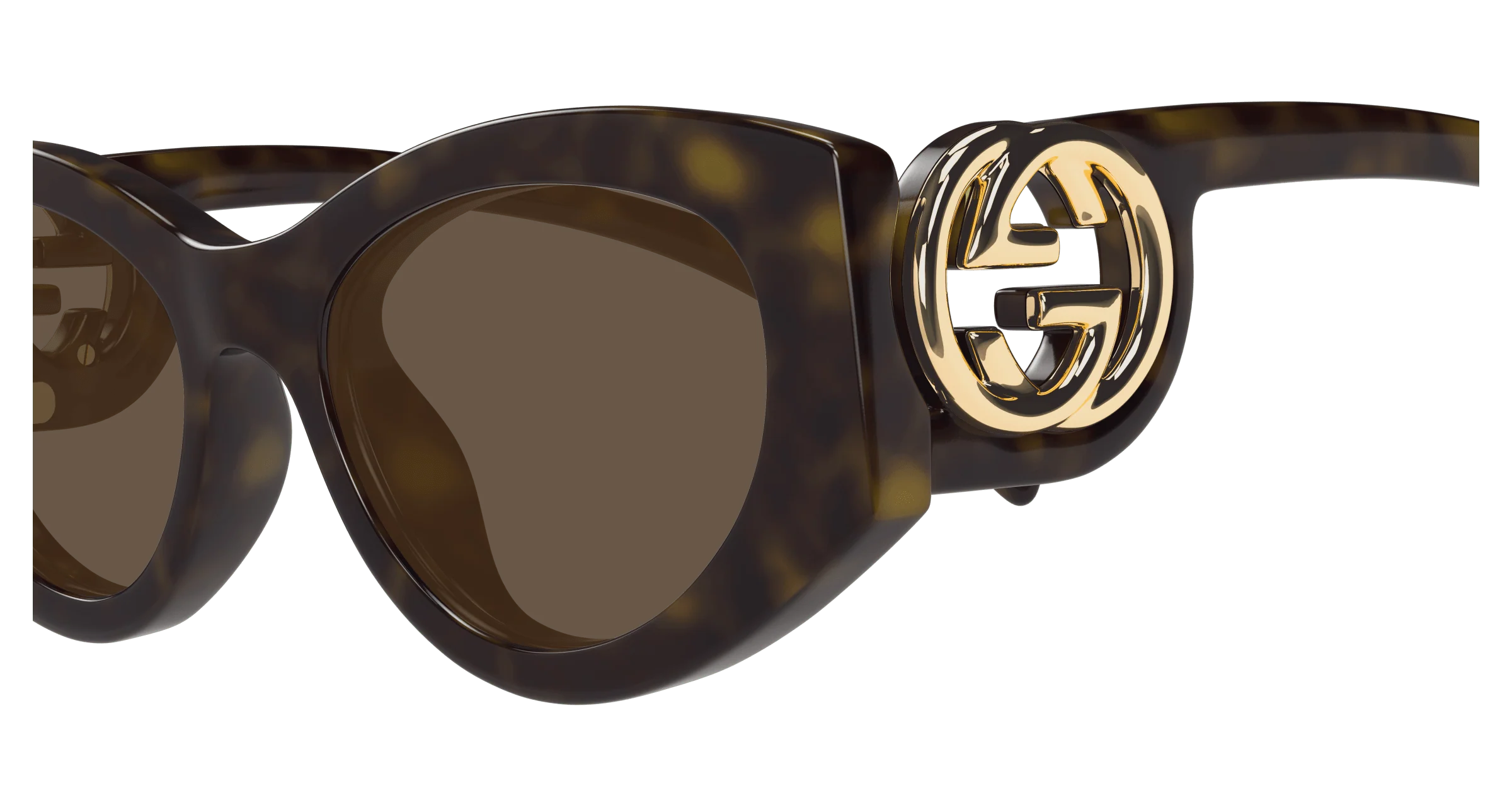 Gucci GG1691S