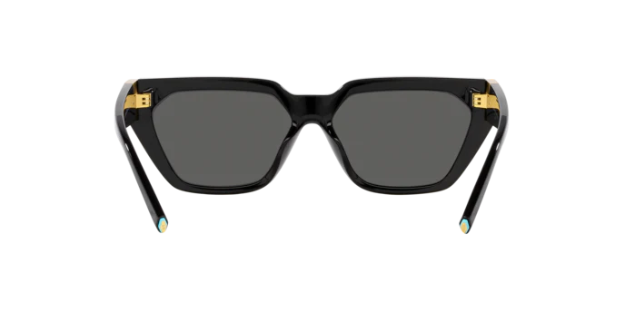 9774-tiffany-co.-0tf4205u-7.webp Tiffany & Co. 0TF4205U